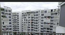 Forestville (D25), Condominium #637308581